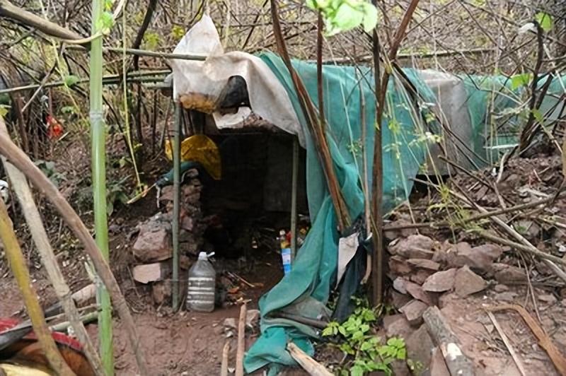 22e4000bb2664c8b8e3e698746832d-5608-8044-1684234505 Lều do Diêu Thường Phụng dựng để ẩn náu trên núi. Ảnh: Toutiao