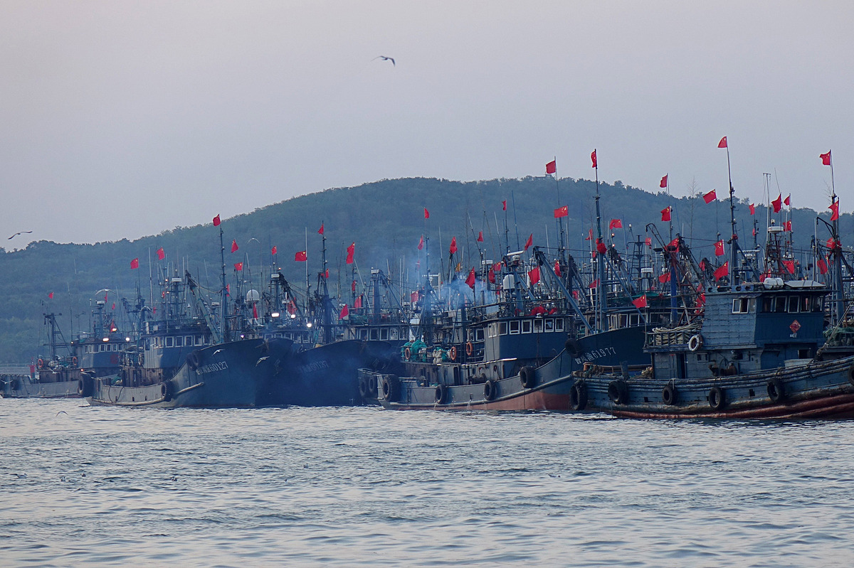 afp-com-20200905-partners-035-9446-5150-1684292567 Các tàu cá Trung Quốc cập cảng thành phố Thanh Đảo, tỉnh Sơn Đông năm 2020. Ảnh: AFP