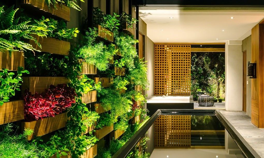 b2b14eed8054400c556a59baa9c13e-3927-7871-1682835245 Vườn treo nằm theo phương thẳng đứng trên một bức tường, sử dụng phương pháp trồng thủy canh hoặc thổ canh. Ảnh: Inhabitat