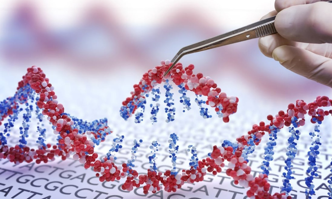 chinh-sua-gene-2621-1685610123 Việc phát triển các công cụ chỉnh sửa gene có thể giúp điều trị bệnh di truyền. Ảnh: Shutterstock/SCMP