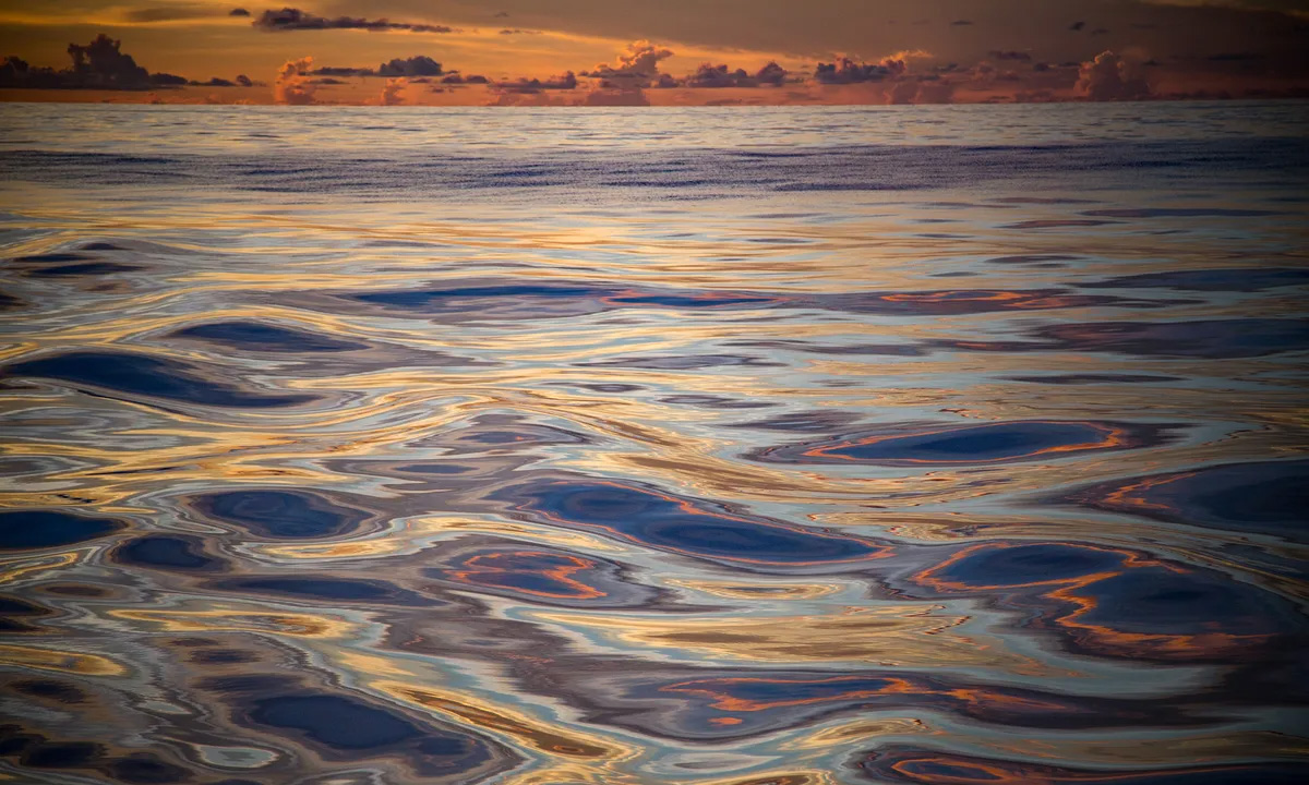 dai-duong-lau-doi-nhat-set-5175-1686200348 Thái Bình Dương là đại dương lớn, sâu và cổ xưa nhất thế giới. Ảnh: NOAA