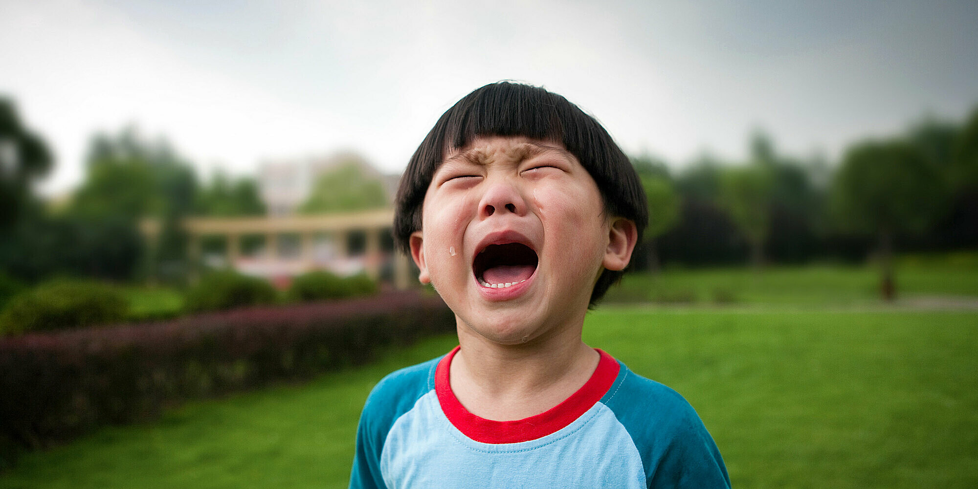 Bùng nổ trào lưu dạy con ngược