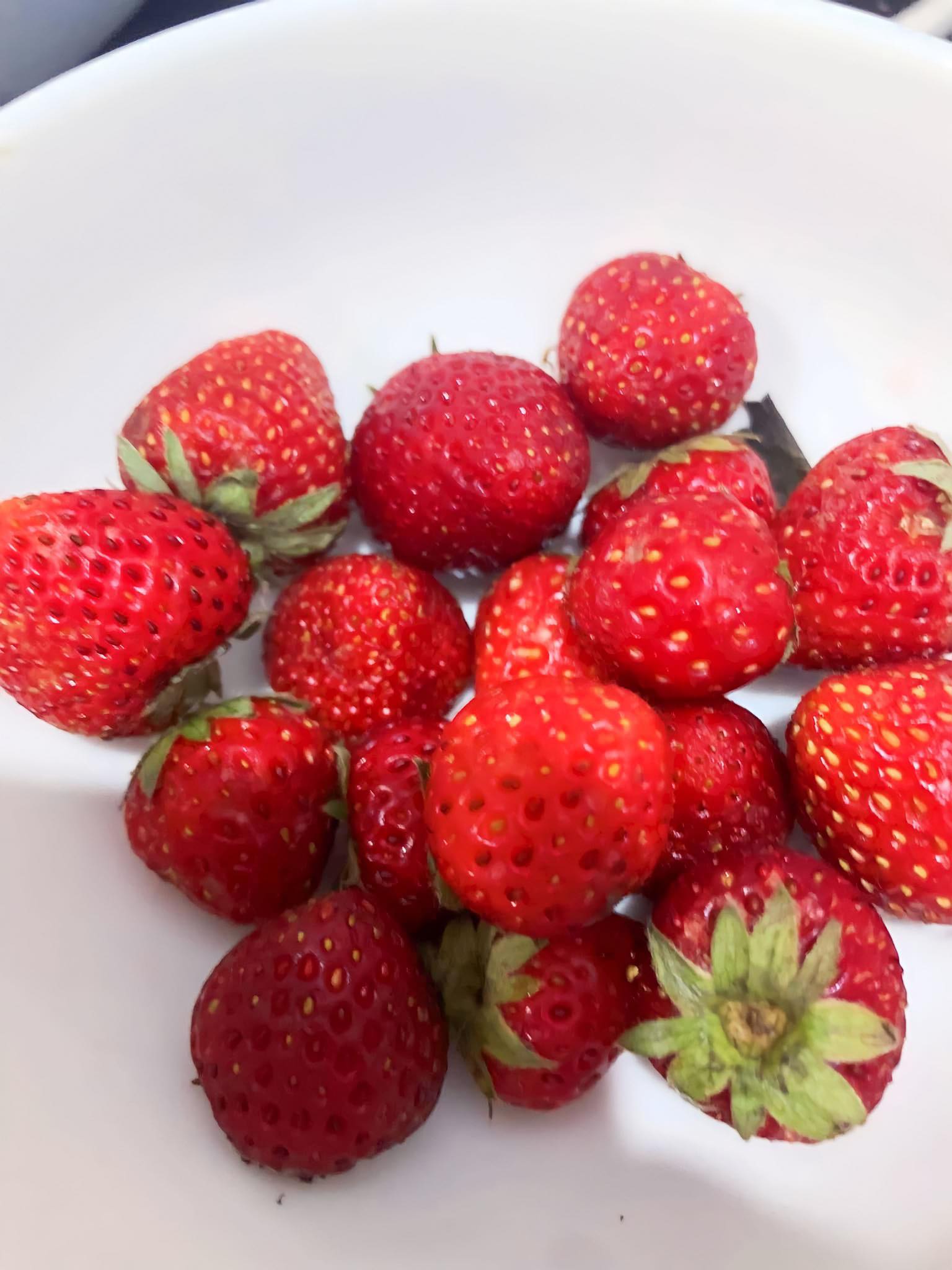 365333522-1279220049393543-186-4043-7606-1691883765 Dâu tây là loại quả rất nhanh hỏng, nhưng sau khi ngâm muối để tủ lạnh 10 ngày vẫn tươi. Ảnh: Tần Vũ T-clean