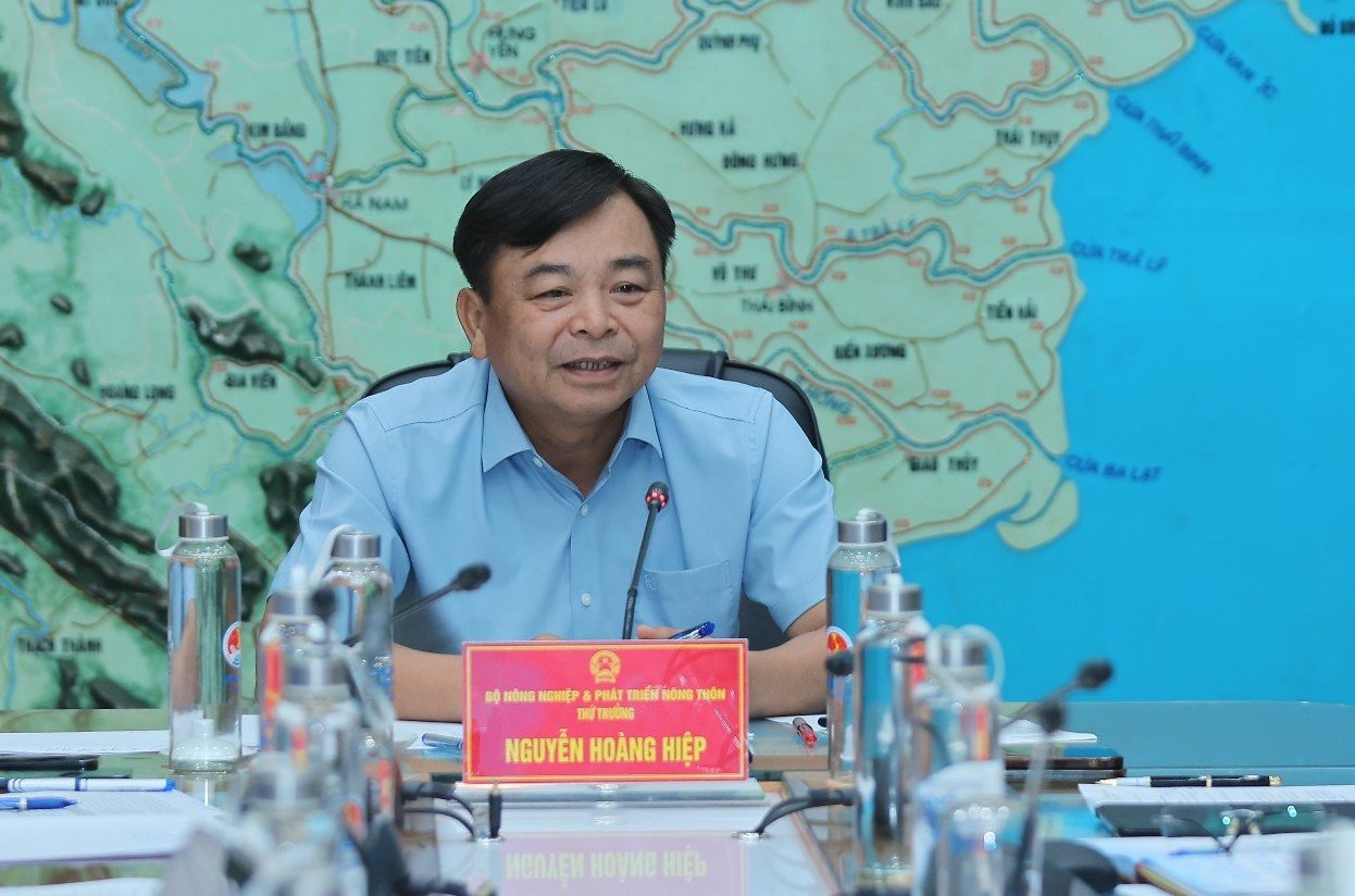 Thứ trưởng Nguyễn Hoàng Hiệp nói tại cuộc họp. Ảnh: G.C