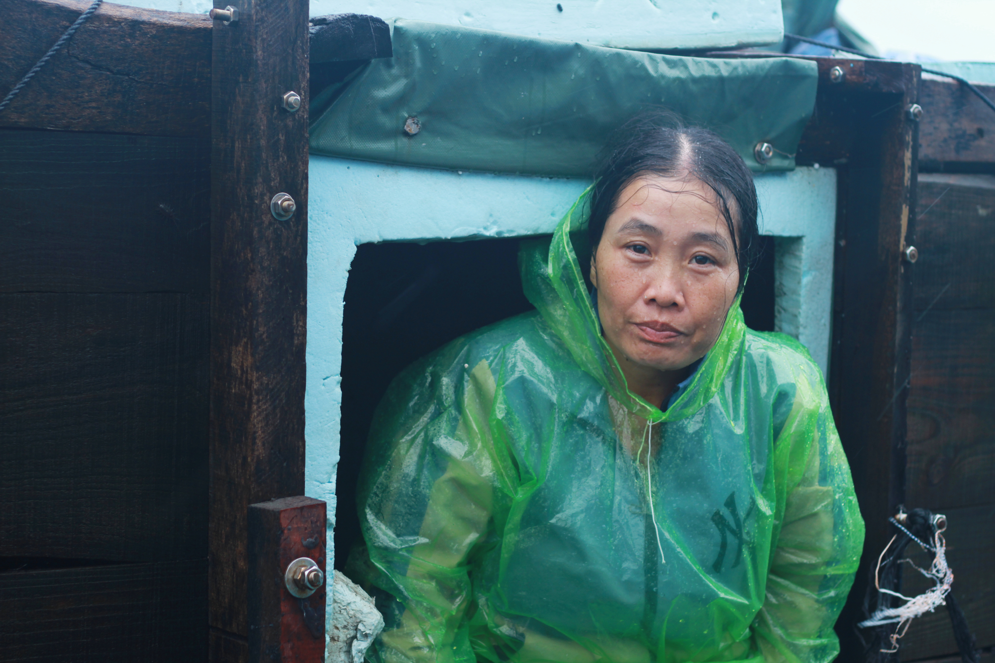 0-7100-1726035247-1 Chị Nan trồng trong thùng cá, nơi chị và chồng đã trốn trong đó khoảng 20 giờ khi bão Yagi phá hủy tất cả. Ảnh: Phan Dương