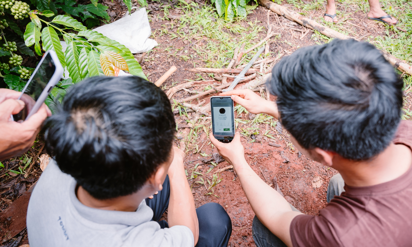 do-dinh-duong-cay-trong-3684-1-7512-8693-1723811669 Nhóm sử dụng App enfarm đo dinh dưỡng cây trồng. Ảnh: Nhóm nghiên cứu