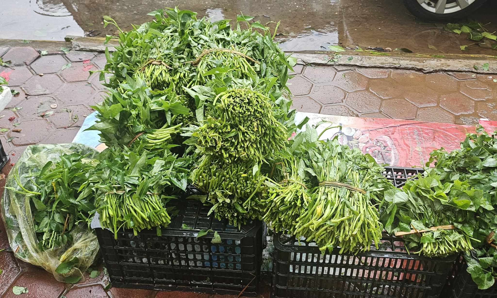 Rau ăn lá tăng giá gấp đôi, ba ngày thường. Ảnh: Phương Dung