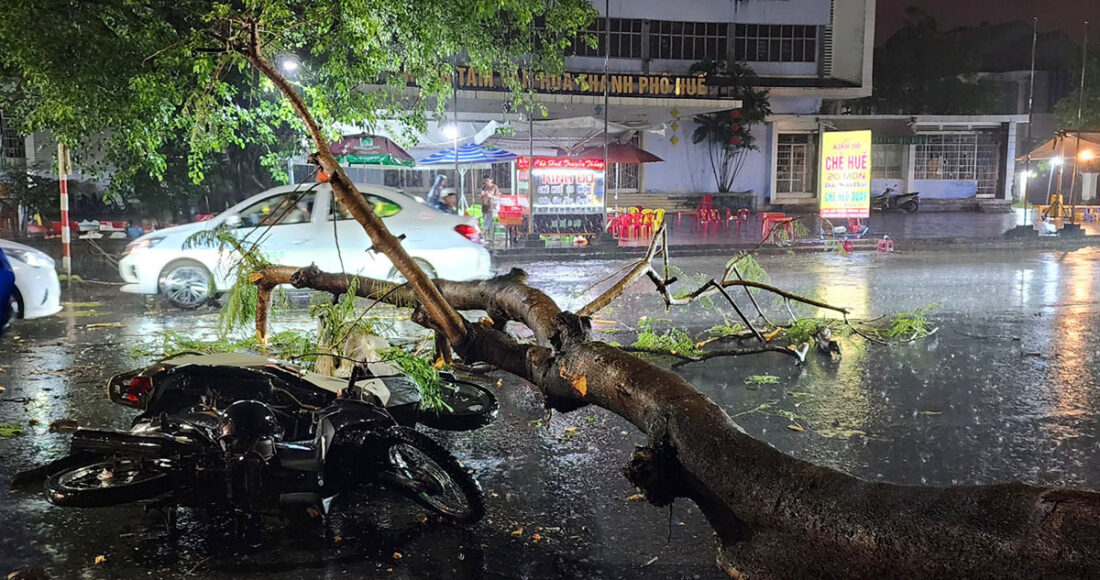 Hiện trường hai xe máy bị cây phượng đè trúng. Ảnh: Võ Thạnh