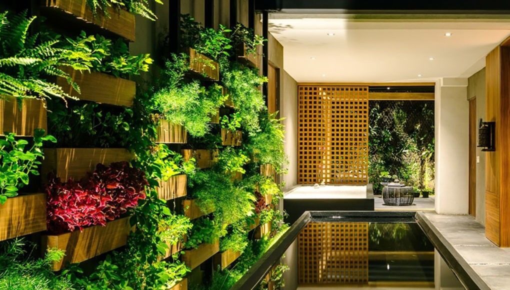 Vườn treo nằm theo phương thẳng đứng trên một bức tường, sử dụng phương pháp trồng thủy canh hoặc thổ canh. Ảnh: Inhabitat