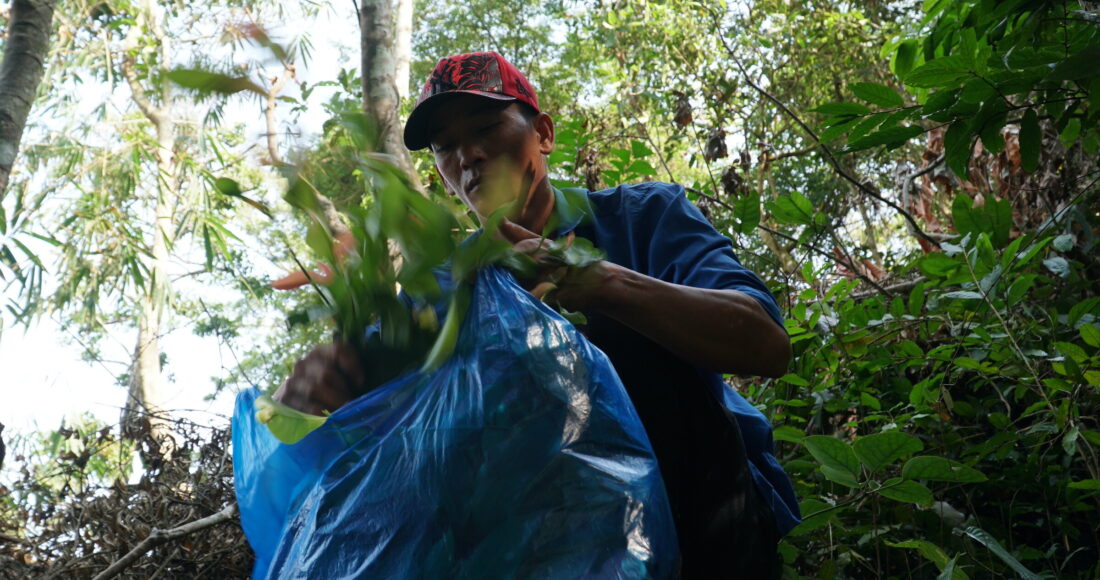 Anh Huỳnh Quốc Bửu hái rau rừng ở núi Cấm. Ảnh: Ngọc Tài