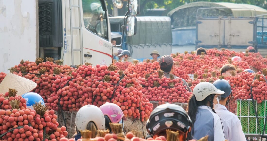 các loại trái cây địa phương đa dạng khác, với nguồn gốc xuất xứ rõ ràng.