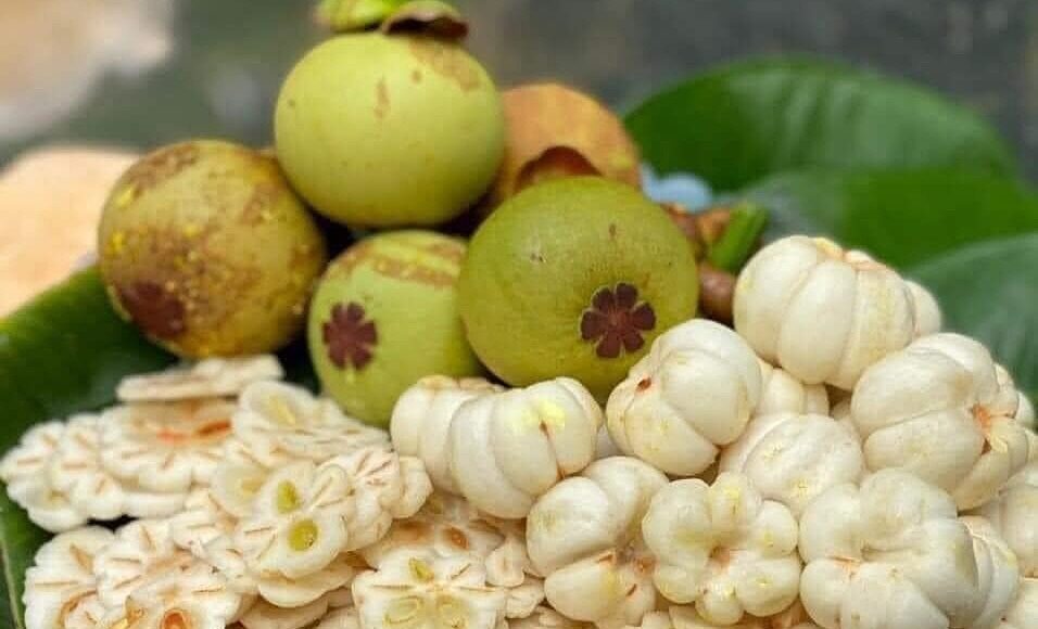 Măng cụt xanh được các cửa hàng sơ chế để bán cho khách hàng ở TP HCM. Ảnh: Kim Ngân