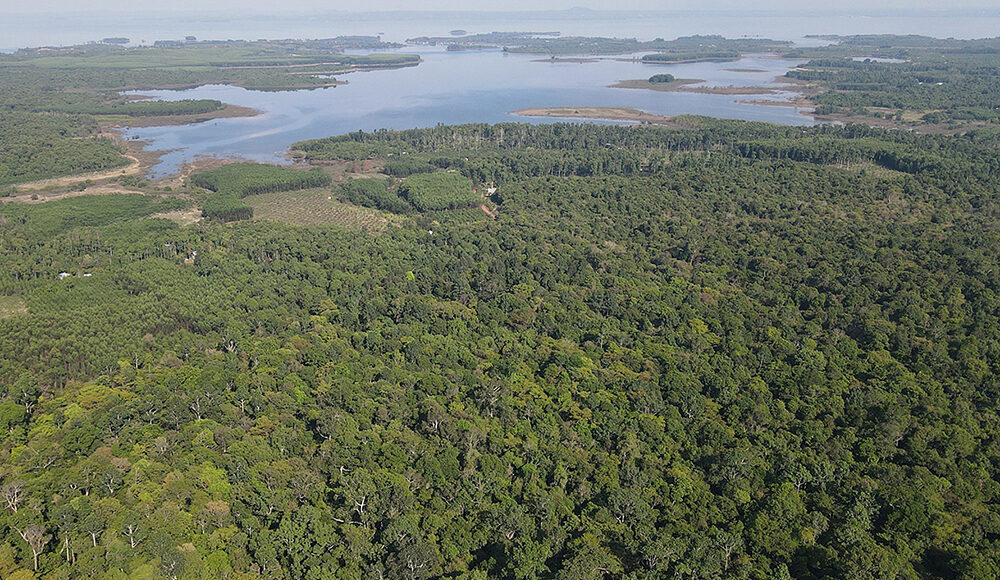 Khu dự trữ sinh quyển Đồng Nai. Ảnh: Phước Tuấn