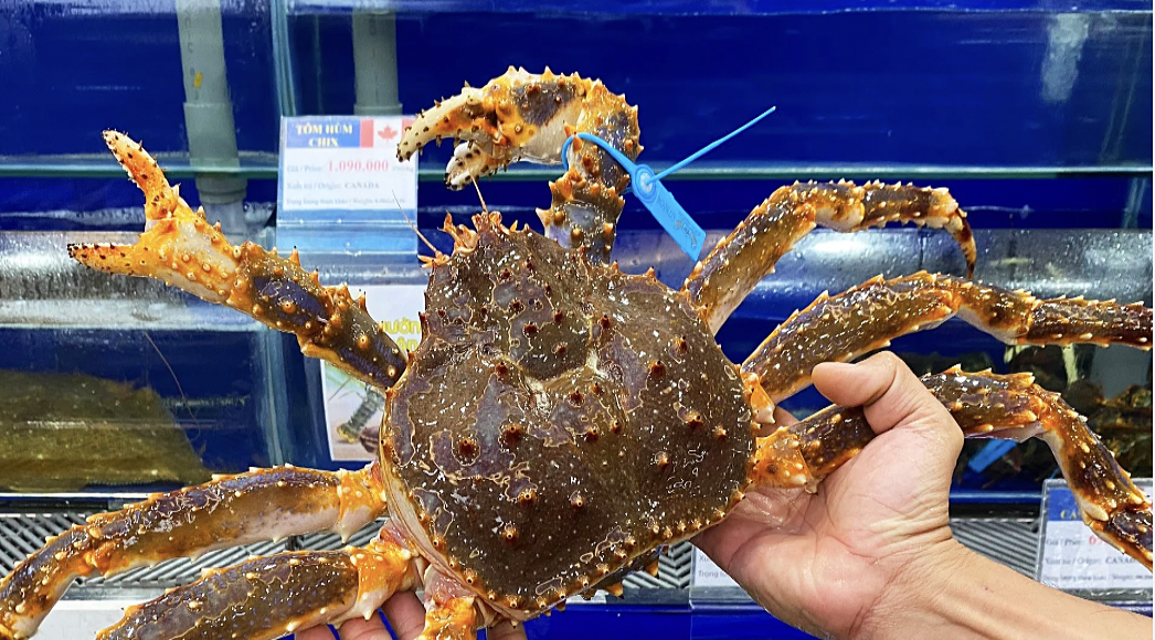 Cua hoàng đế tại cửa hàng hải sản ở TP HCM. Ảnh: Linh Đan