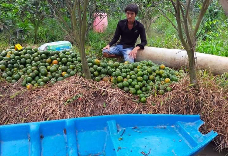 Bùi Tấn Thành cùng số cam và chiếc xuồng lấy trộm. Ảnh: An Bình