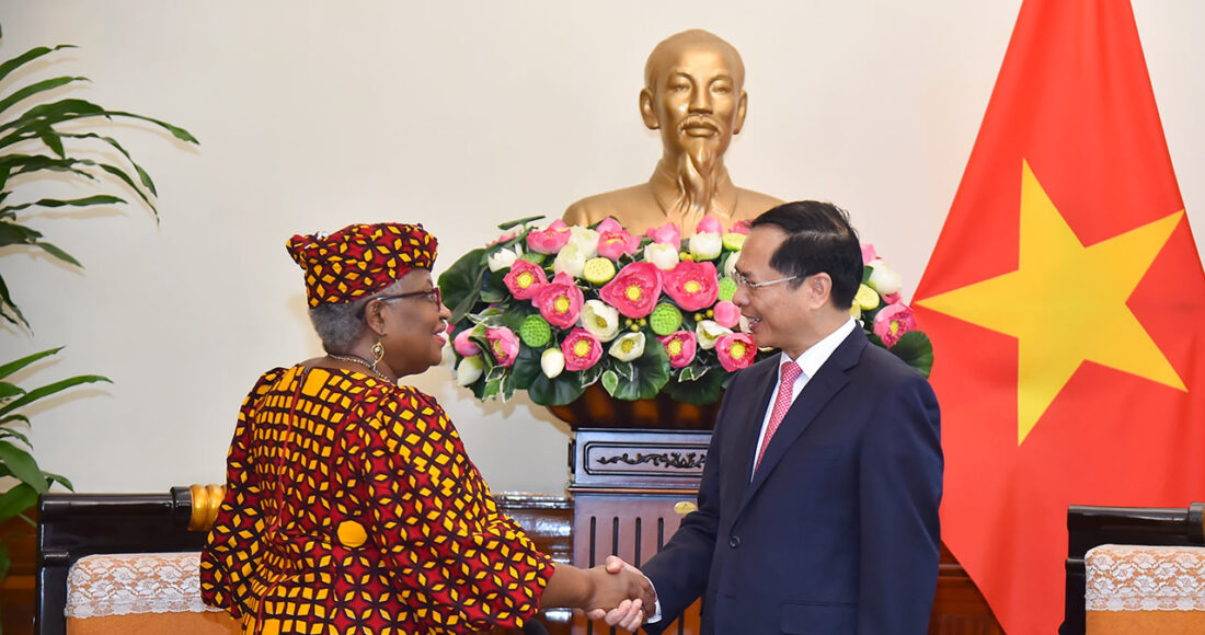 Tổng giám đốc WTO Ngozi Okonjo-Iweala (trái) và Bộ trưởng Ngoại giao Bùi Thanh Sơn trong cuộc gặp tại Hà Nội sáng 18/5. Ảnh: BNG