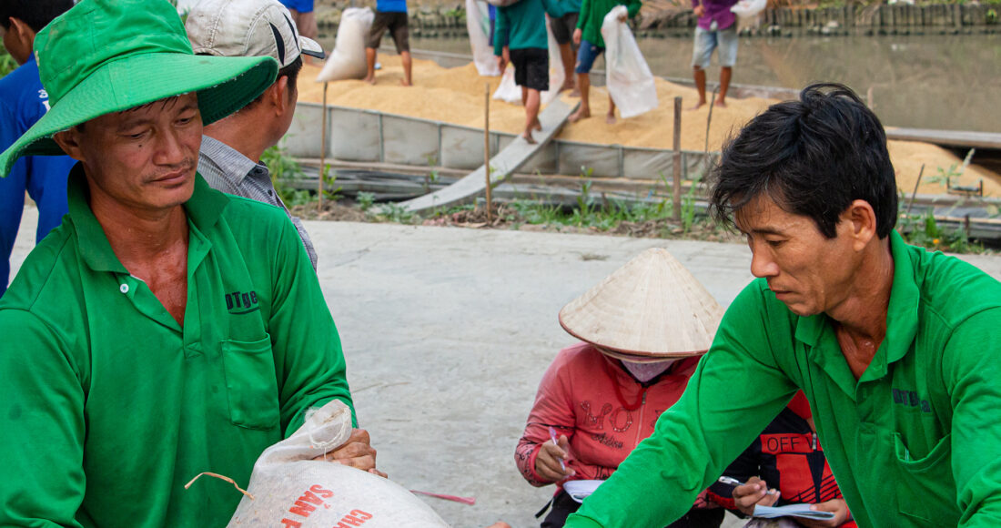 Nông dân tại Cần Thơ thu hoạch lúa vụ Đông Xuân. Ảnh: Thanh Trần