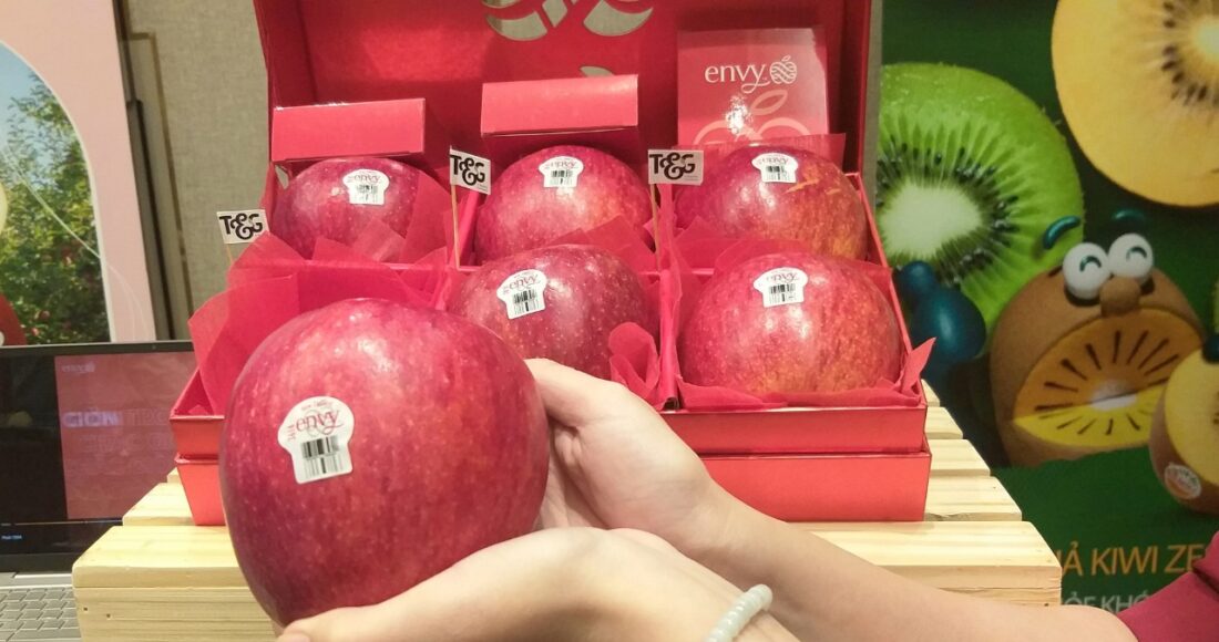 Táo Envy New Zealand được trưng bày tại buổi giới thiệu sản phẩm ở TP HCM. Ảnh: Thi Hà
