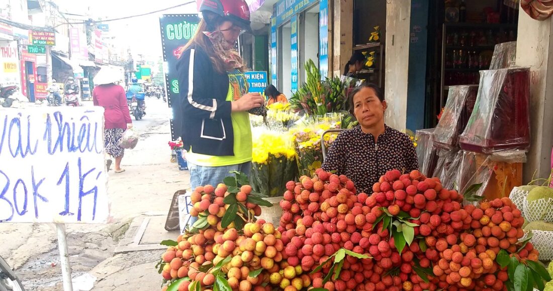 Vải thiều chiếm phần lớn diện tích sạp tại cửa hàng trái cây trên đường Lê Đức Thọ (Gò Vấp). Ảnh: Thi Hà