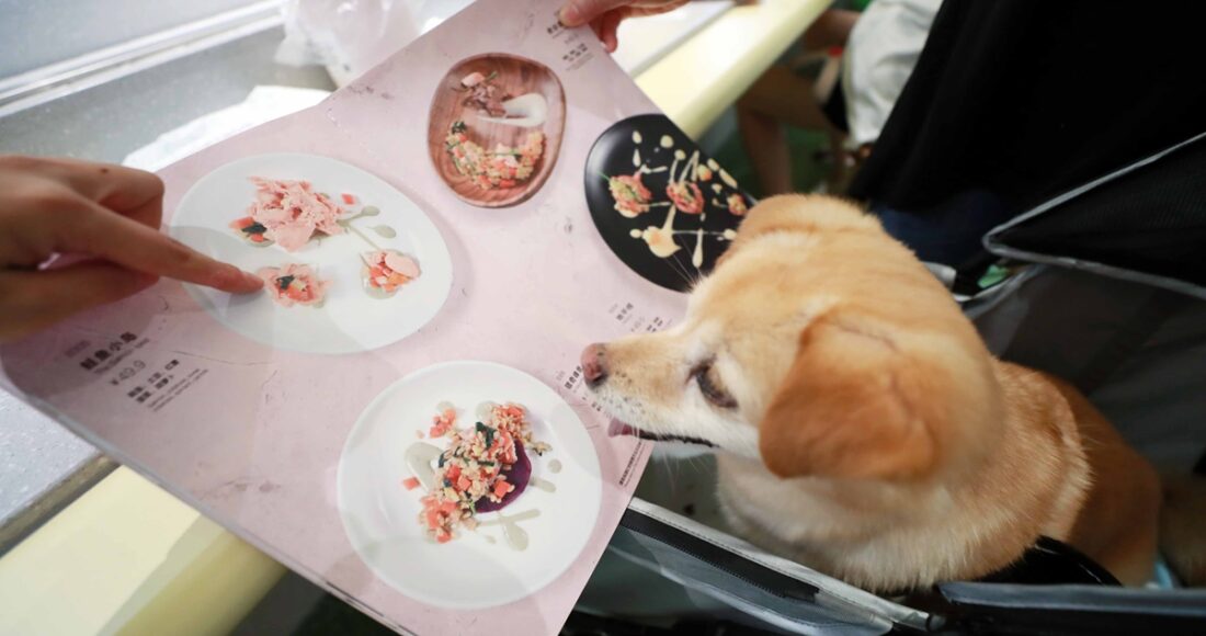Nhà hàng đầu tiên dành riêng cho thú cưng, không phục vụ thức ăn cho chủ khai trương tại Thượng Hải vào 2021. Ảnh: IC