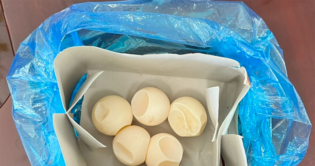 Số trứng được phát hiện trong hành lý của người phụ nữ. Ảnh:Hắc Minh