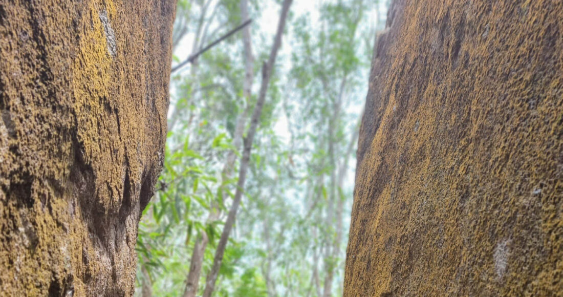 Anh Khoa trong một chuyến đi núi Thị Vải, Bà Rịa - Vũng Tàu năm 2023. Ảnh: Nhân vật cung cấp