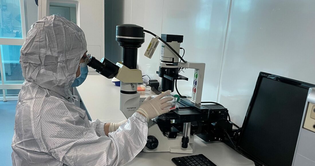 Nghiên cứu khoa học tại Viện tế bào gốc, trường Đại học Khoa học Tự nhiên, Đại học Quốc gia TP HCM, năm 2023. Ảnh: Hà An