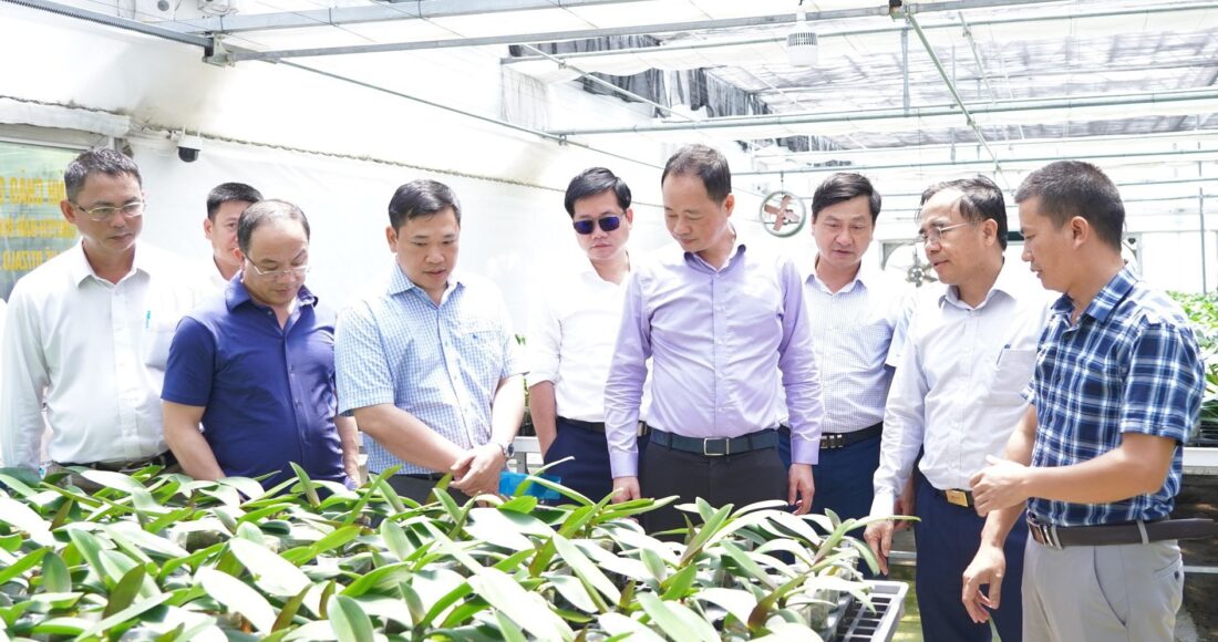 Thứ trưởng Trần Hồng Thái cùng đoàn công tác tham quan mô hình nông nghiệp công nghệ cao sản xuất Lan Hồ điệp tại xã Thạch Khê, huyện Thạch Hà ngày 28/6. Ảnh:TTTT