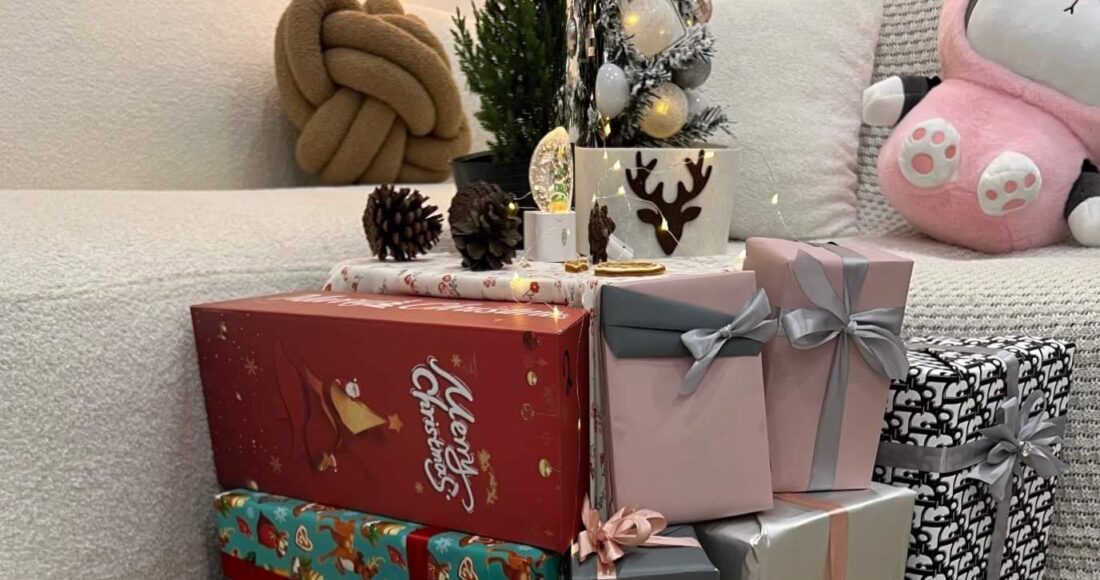 Mai Anh chuẩn bị quần áo và quà đón Giáng sinh 2023 dành tặng hai con mèo giống Scottish Fold thuần chủng và lai tên Chin và Su tại nhà riêng tại Hà Nội. Ảnh: Nhân vật cung cấp