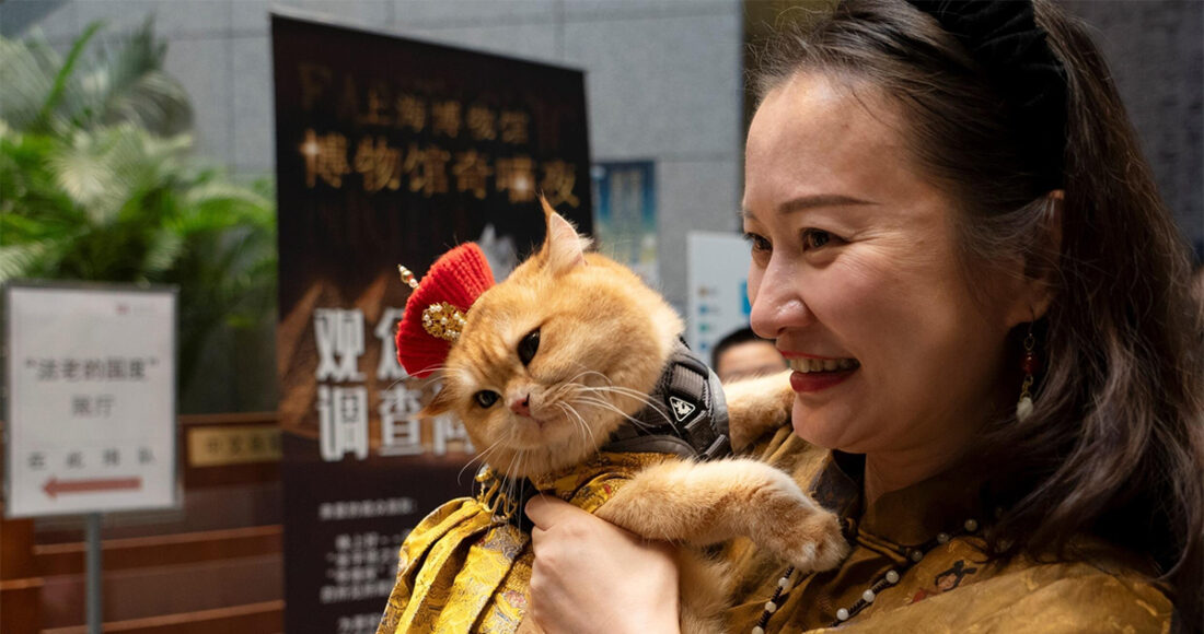 Con mèo vàng tên là Trump cùng chủ tại triển lãm ở Bảo tàng Thượng Hải ngày 27/7. Ảnh: AFP