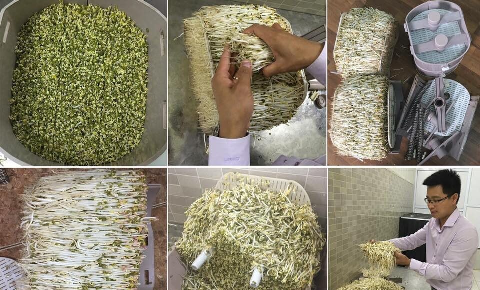 Tiến sĩ giá đỗ bày cách biến tài sản trí tuệ thành tiền