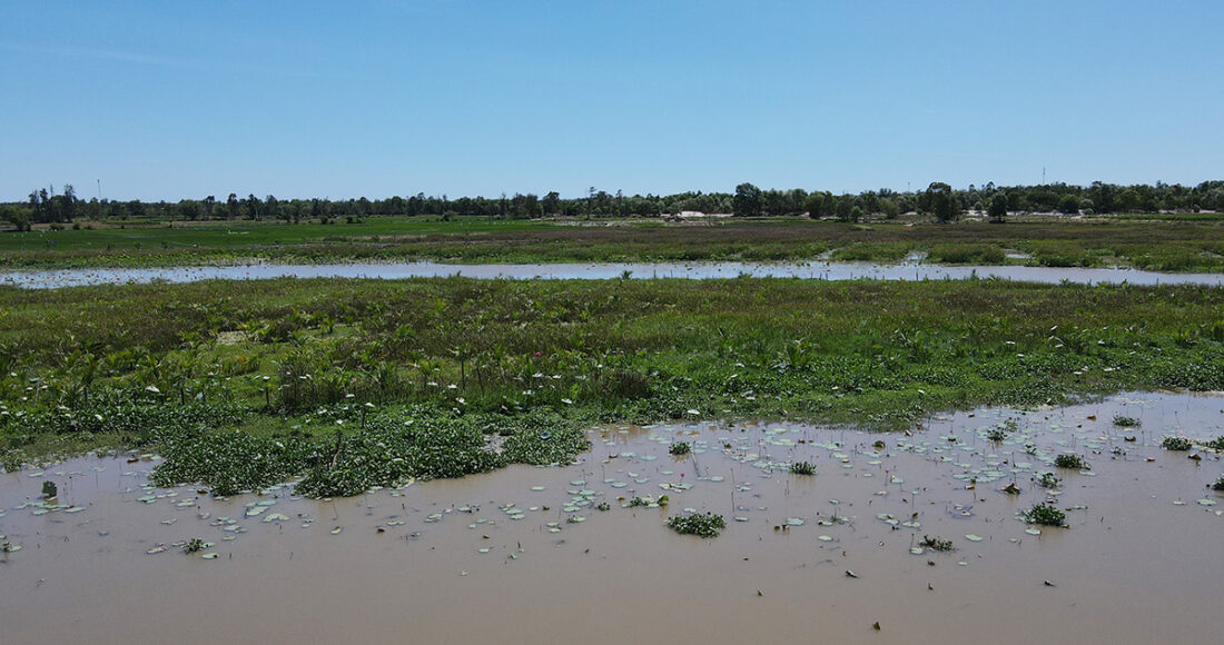 Một góc hồ sông Đầm, xã Tam Thăng chỉ còn ít cây sinh trưởng. Ảnh: Đắc Thành