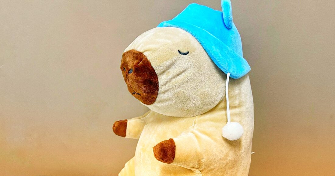 Một con chuột bông Capybara phiên bản đơn giản và giá thấp tại nhà người mua. Ảnh: Trọng Tiến