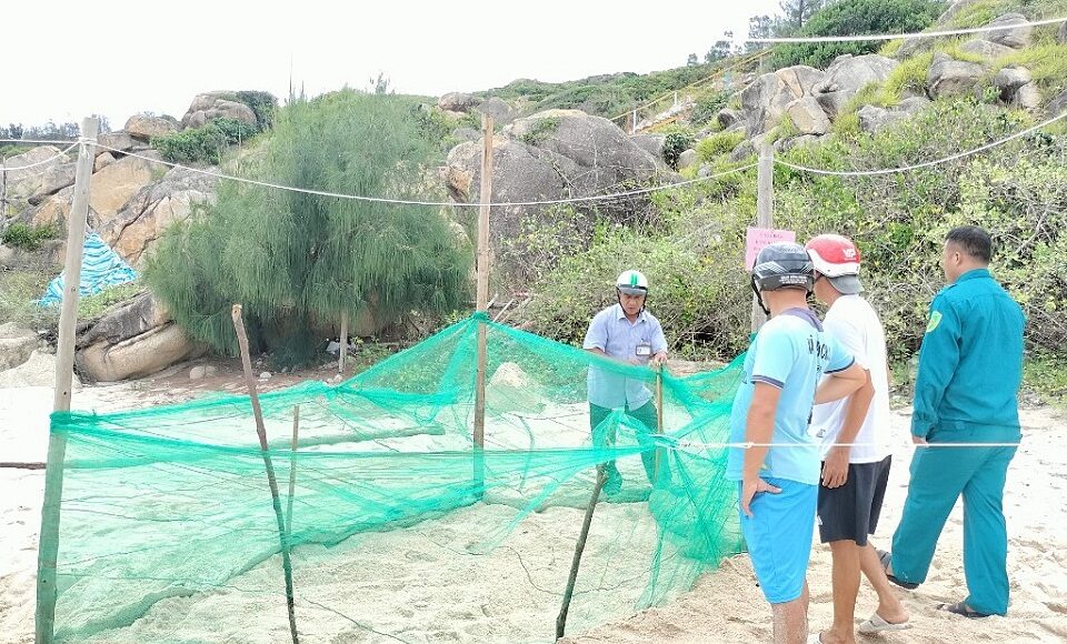 Người dân khoanh lưới bảo vệ rùa biển vào đảo Cù Lao Xanh, Bình Định, ngày 15/7. Ảnh: Nhơn Châu