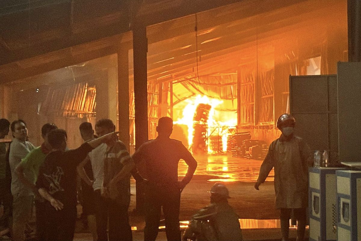 Cháy lớn xưởng gỗ ở Đồng Nai