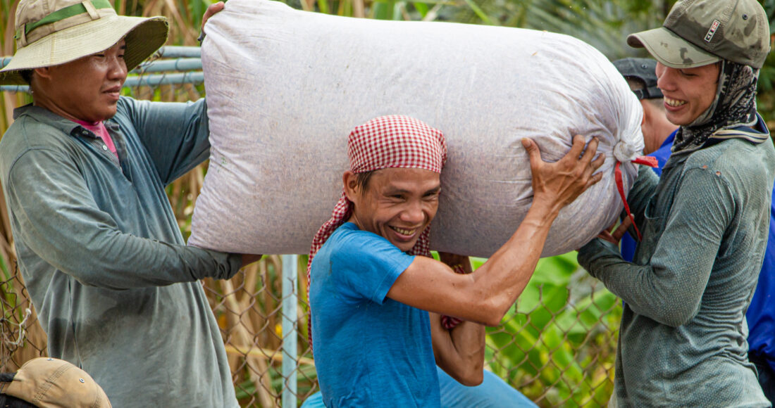 Nông dân xã Thạnh An, huyện Vĩnh Thạnh (Cần Thơ) thu hoạch lúa vụ Đông Xuân. Ảnh: Thanh Trần