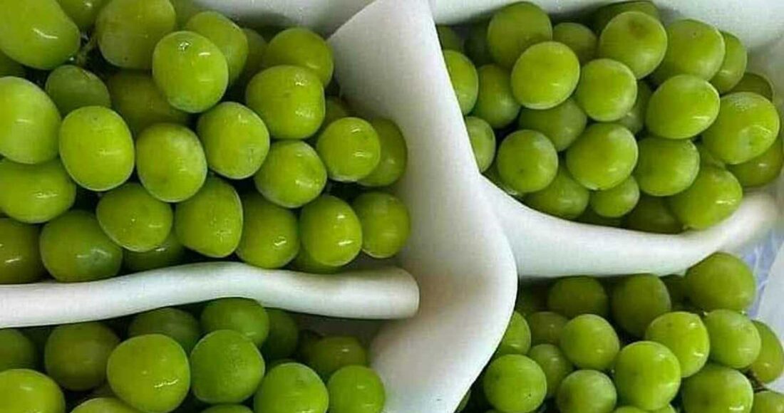 Rành 4 kg nho mẫu đơn được bán tại chợ đầu mối nông sản Thủ Đức (TP HCM). Ảnh: Linh Đan