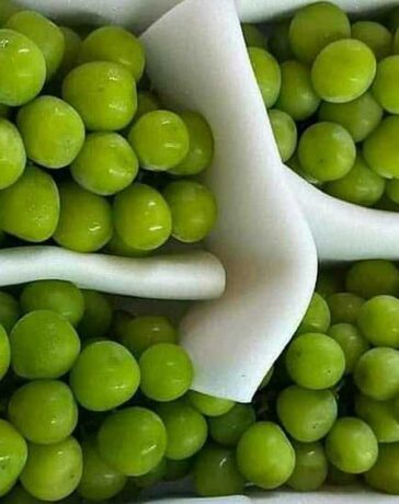 Rành 4 kg nho mẫu đơn được bán tại chợ đầu mối nông sản Thủ Đức (TP HCM). Ảnh: Linh Đan