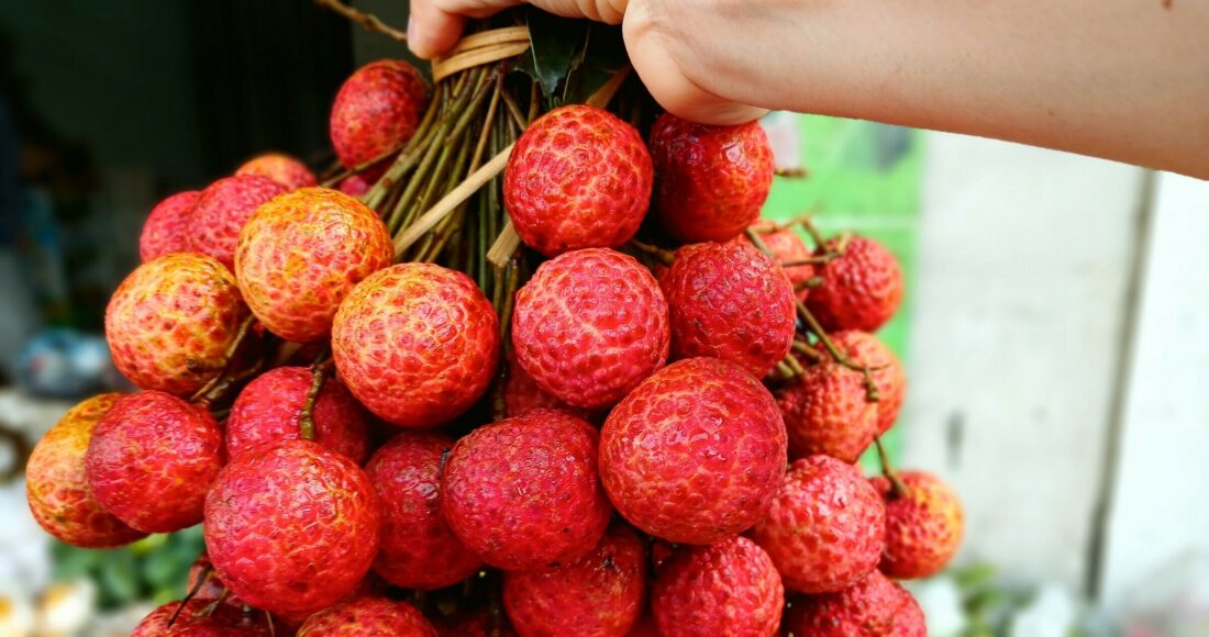 Vải thiều tại cửa hàng trái cây trên đường Lê Đức Thọ (Gò Vấp) hồi tháng 5. Ảnh: Thi Hà