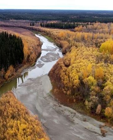 Drone chụp ảnh sông Yukon và vùng hạ lưu từ Beaver, Alaska. Ảnh: Michael P. Lamb