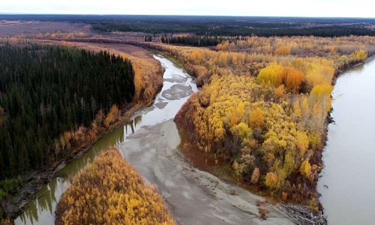 Drone chụp ảnh sông Yukon và vùng hạ lưu từ Beaver, Alaska. Ảnh: Michael P. Lamb