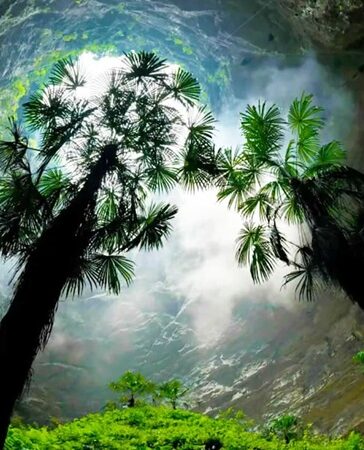 Cây cổ đại mọc xanh tốt bên trong miệng hố thiên đường. Ảnh: Earth