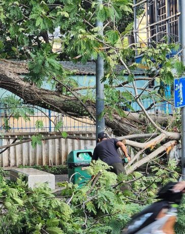 Nhánh cây gãy dài gần chục mét chắn ngang đường Võ Văn Tần, quận 3. Ảnh: Đình Văn