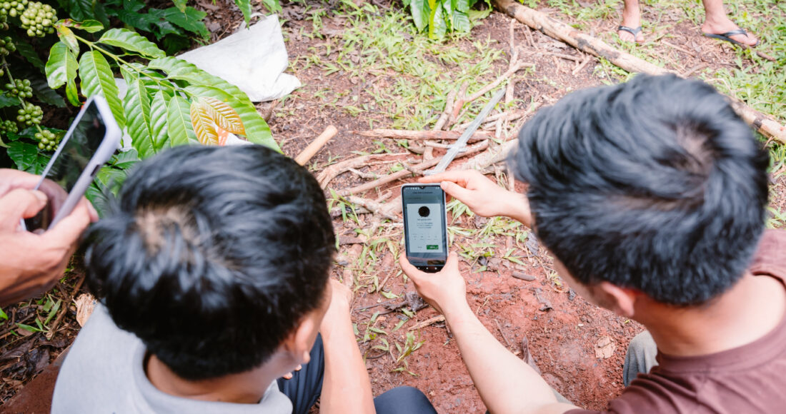 Nhóm sử dụng App enfarm đo dinh dưỡng cây trồng. Ảnh: Nhóm nghiên cứu