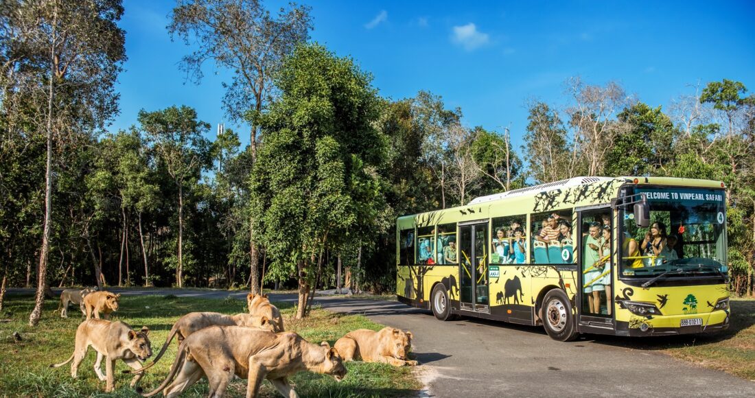 Mô hình nhốt người, thả thú tại vườn thú Vinpearl Safari Phú Quốc. Ảnh: Vinpearl