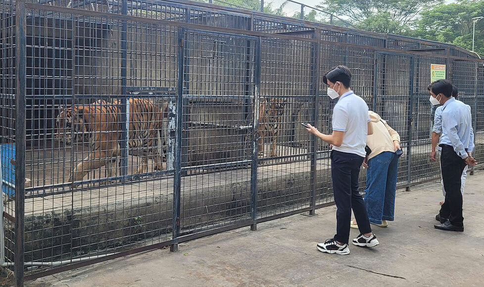 Cơ quan chức năng thị sát vườn nuôi cọp sáng 2/10. Ảnh: Phước Tuấn