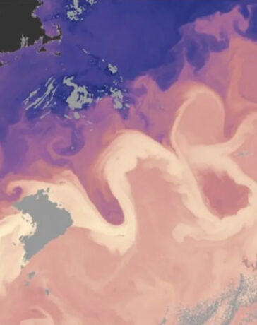 Dòng hải lưu Gulf Stream là dòng hải lưu cung cấp nhiệt và muối cho Bắc Đại Tây Dương. Nó có thể nhìn thấy trên bản đồ này (màu hồng nhạt) nhờ dữ liệu vệ tinh ghi lại nhiệt độ bề mặt biển.Ảnh: NASA