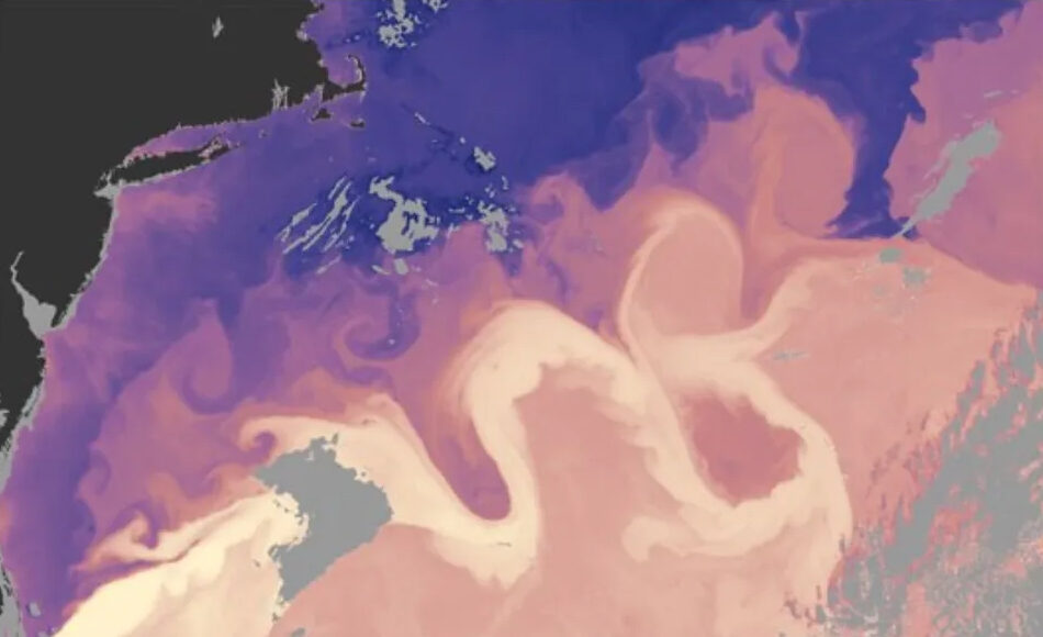 Dòng hải lưu Gulf Stream là dòng hải lưu cung cấp nhiệt và muối cho Bắc Đại Tây Dương. Nó có thể nhìn thấy trên bản đồ này (màu hồng nhạt) nhờ dữ liệu vệ tinh ghi lại nhiệt độ bề mặt biển.Ảnh: NASA