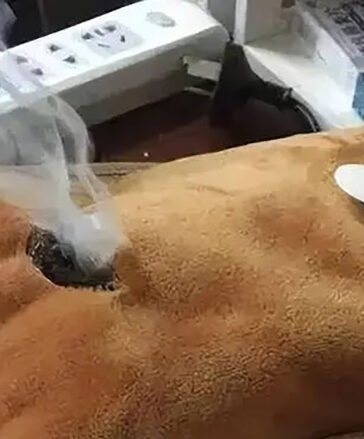 5 đồ dùng trong nhà không nên tiếp xúc lâu