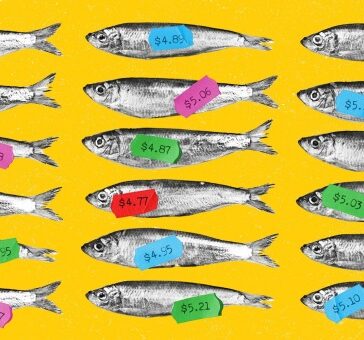 Loạn thông tin sản phẩm và giá cả trên các sàn thương mại điện tử khiến người mua kiệt sức khi tìm kiếm. Ảnh minh họa: Carl Godfrey/BI